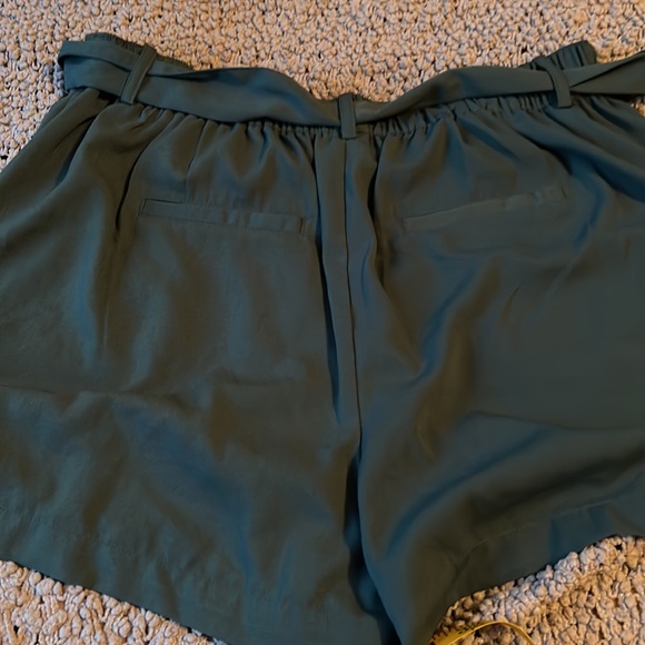 Adorable like new teal paper bag waist shorts. - Picture 6 of 7